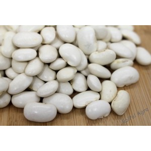 FASOLA JAŚ 1KG