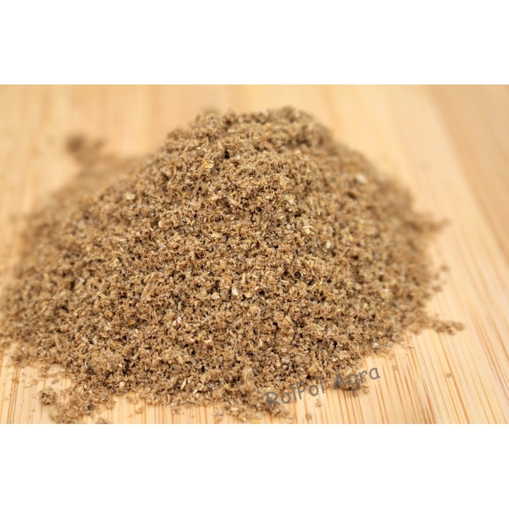 KOLENDRA MIELONA 100G
