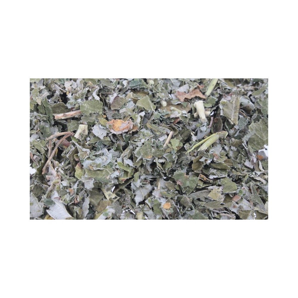 MALINA LIŚĆ CIĘTY 150G