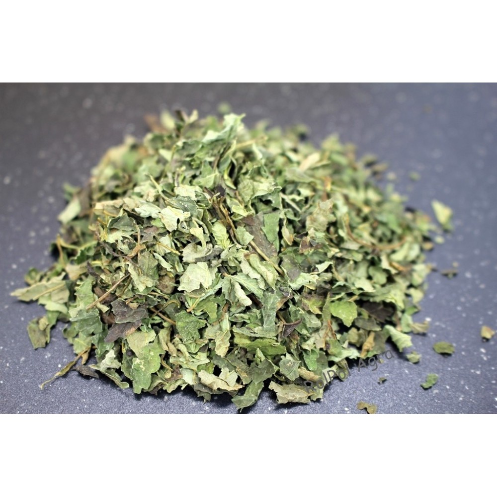 MELISA 100G
