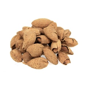MIGDAŁ PRAŻONY SOLONY W ŁUPINIE 5KG