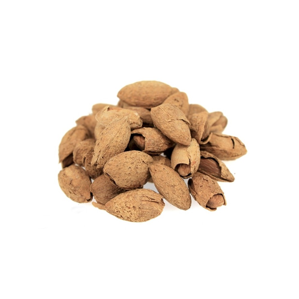 MIGDAŁ PRAŻONY SOLONY W ŁUPINIE 5KG