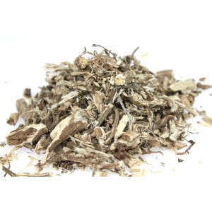 PRAWOŚLAZ KORZEŃ 500G