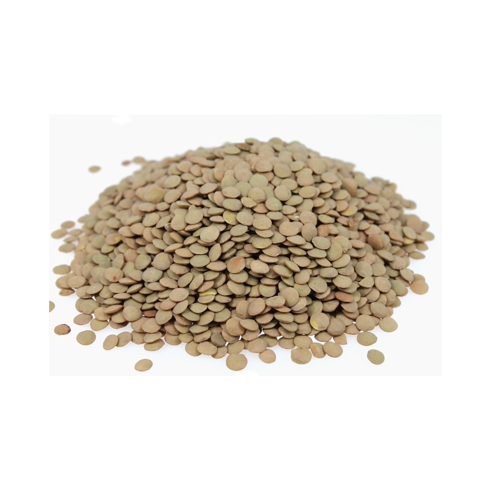SOCZEWICA ZIELONA 10KG