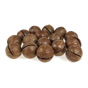 ORZECH MACADAMIA W ŁUPINIE 500G