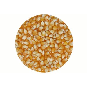 POPCORN ZIARNO 5 kg