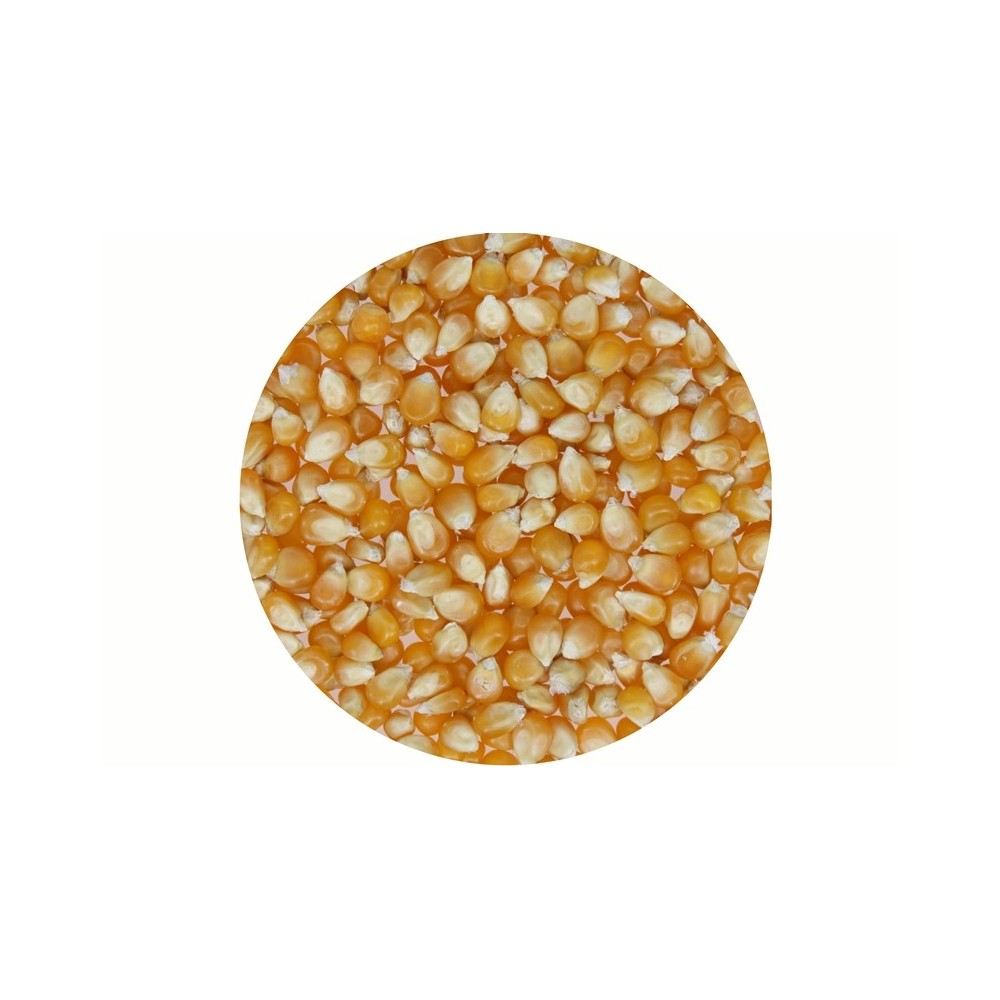 POPCORN ZIARNO 5 kg